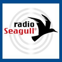 Seagull Logo